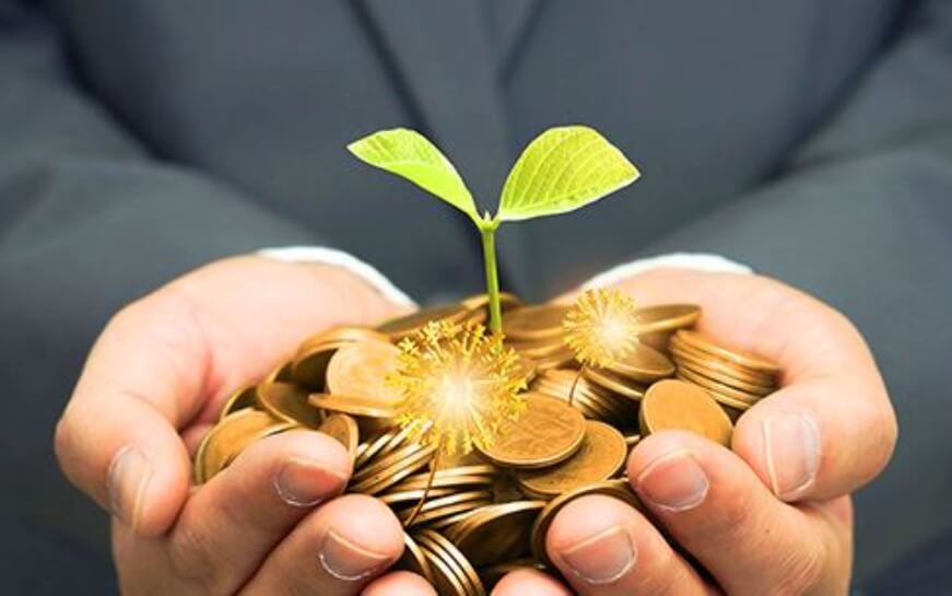 上海轻松盈科技-网站设计制作案例